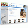 Bull